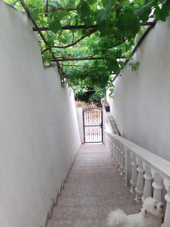 Guest House Cvoro Herceg Novi Rum bild