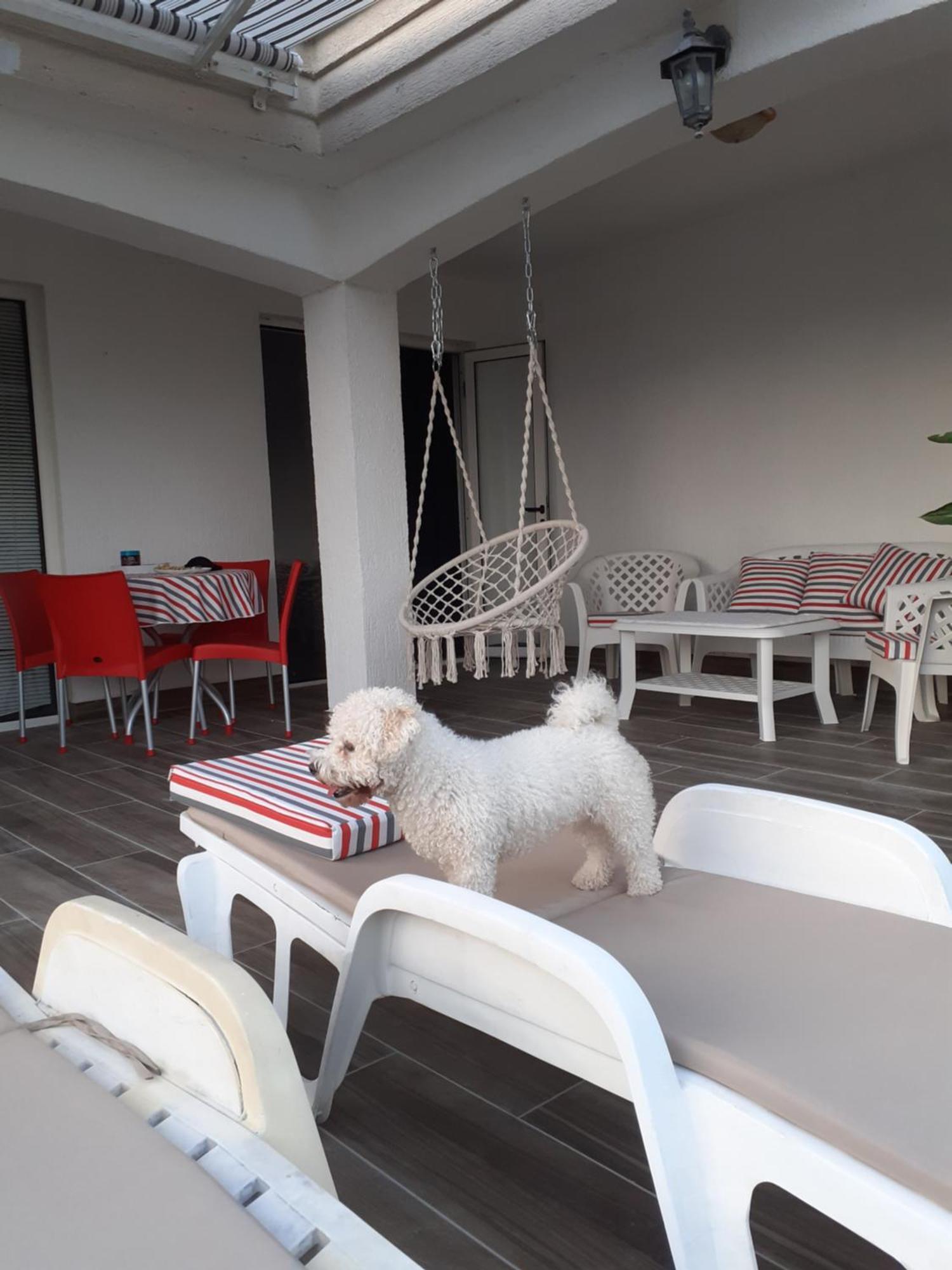 Guest House Cvoro Herceg Novi Rum bild